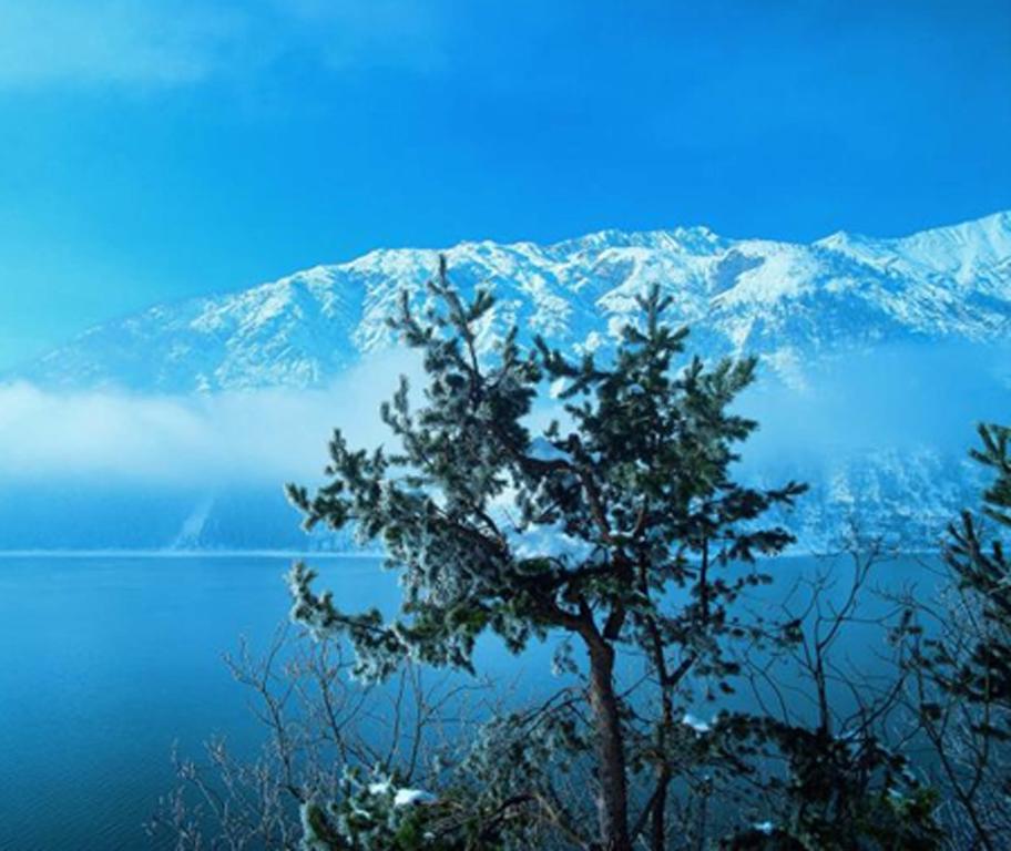 Gaestehaus Alpina Maurach  Bagian luar foto